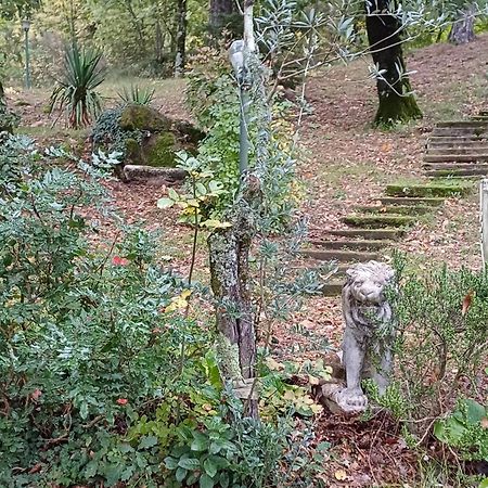 Alloggio Villa Manini スカルペリーア エクステリア 写真