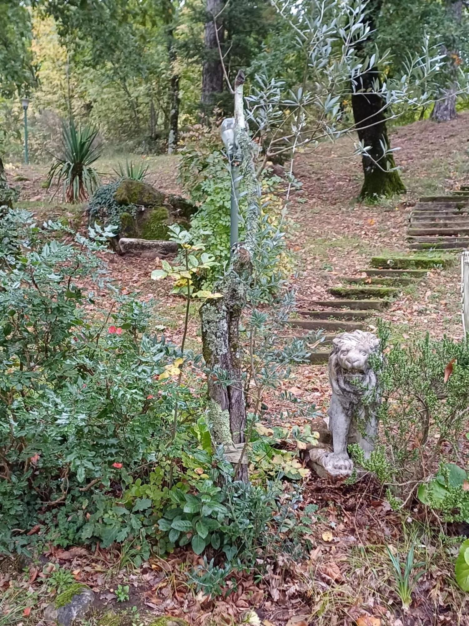 Alloggio Villa Manini スカルペリーア エクステリア 写真